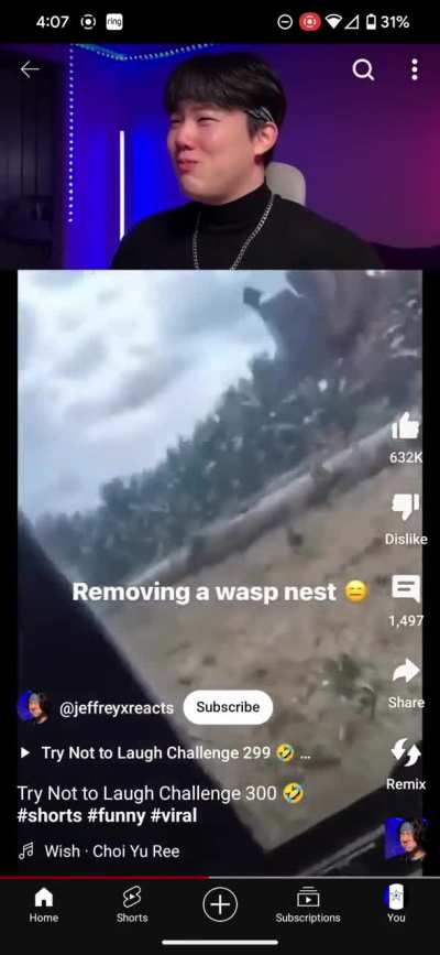 Never do this with wasps