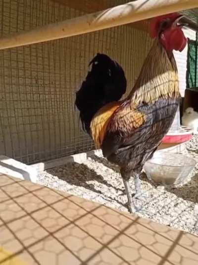 Maybe maybe maybe