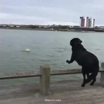 Aaaaa