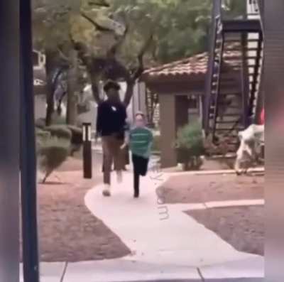 Blursed attacker