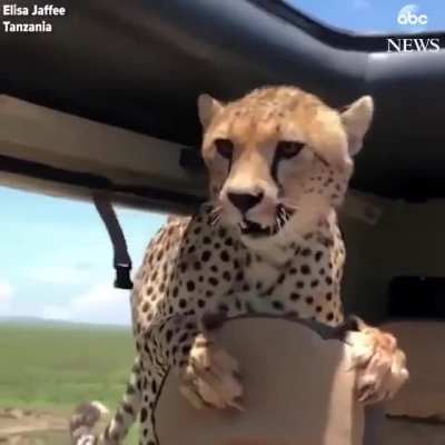 Holy Crap!