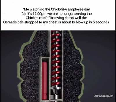 pov no chicken mini's