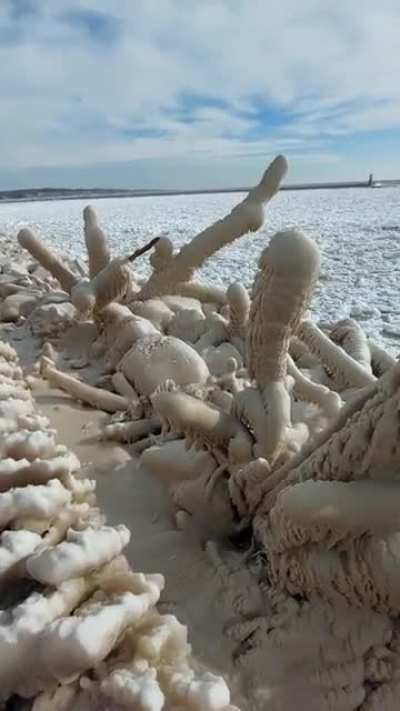 I just couldn't get enough of these ice dicks!