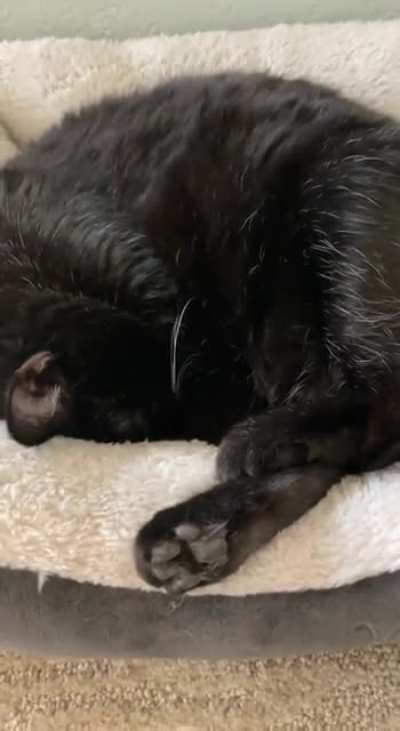 Who could resist the toe beans