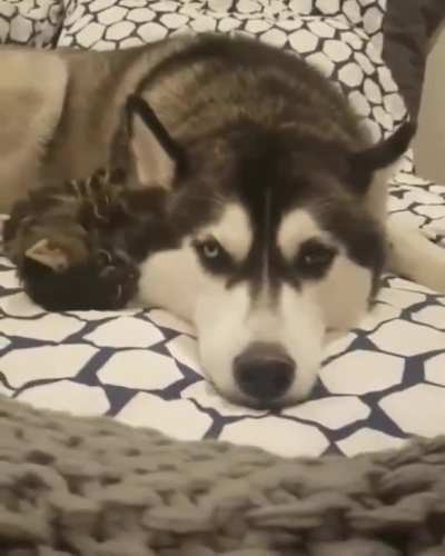 touch tha ear
