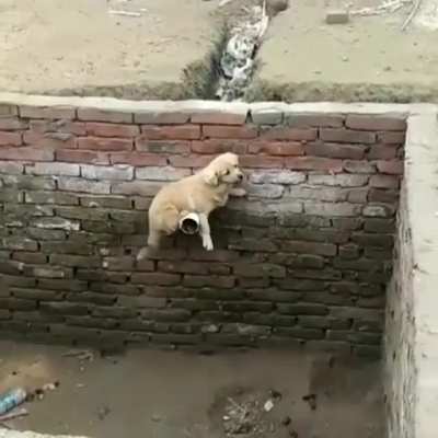 Never Give Up