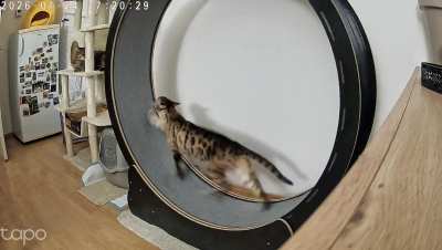 It&rsquo;s day three since they got their wheel.
