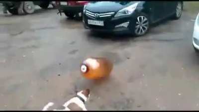 FLASH BONK