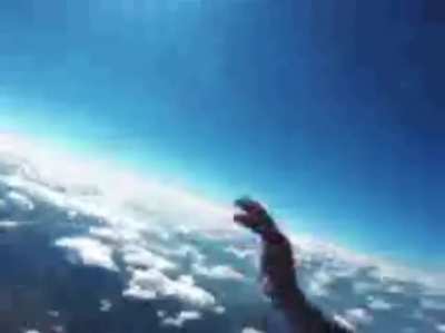 Wanna go skydiving?