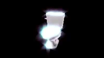 blessed_polish_toilet_speening