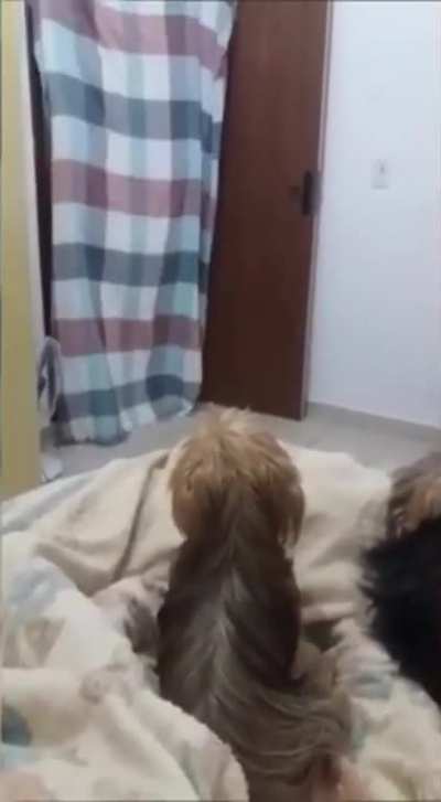 Por essa eu n&atilde;o esperava