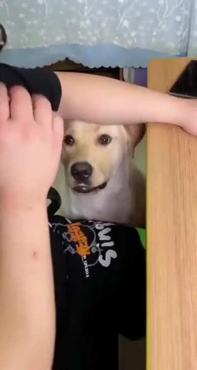 What do I do now??