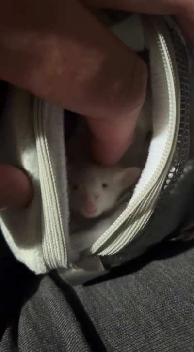 Neo cuteness