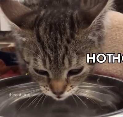 HOT HOT