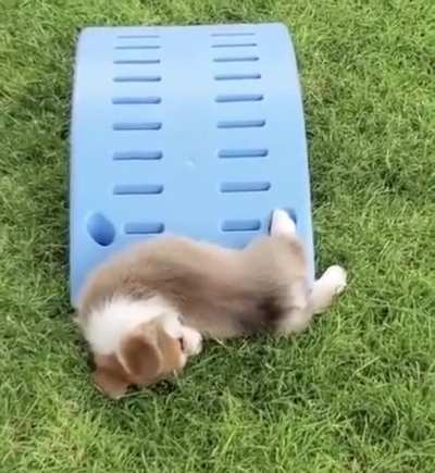 It&rsquo;s just not his day