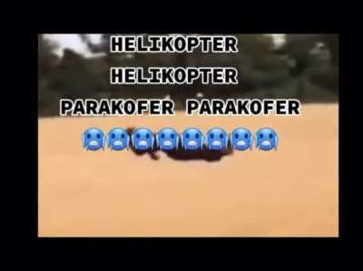 Helicopter song💅💅💅💅🤌🏽🤌🏽🤌🏽✋✋✋🧋🧋🧋👌👌👑👑👑