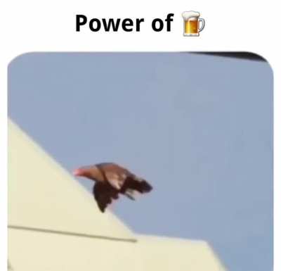 Alcoholic cock