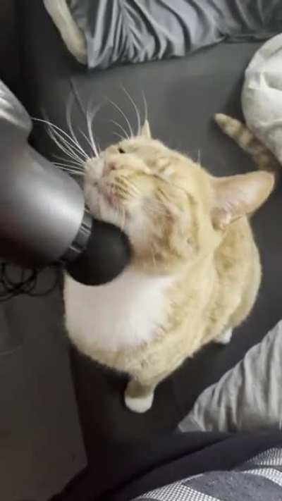 Yells when it&rsquo;s not his turn with the back massager
