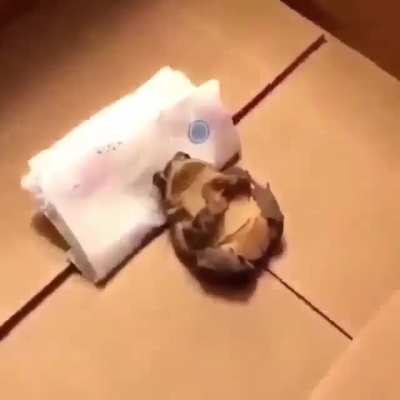 boa noite