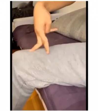 Kung Fu Fingers