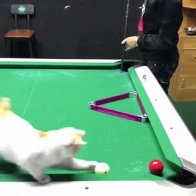 Maybe Maybe Maybe