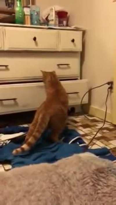 Shouldn't keep your horny stuff in the drawer [SFW].