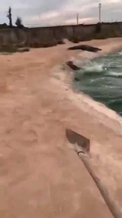 P&Aacute; TUNAAADAA, nem os jar&eacute; que tentaram revidar tiveram chance