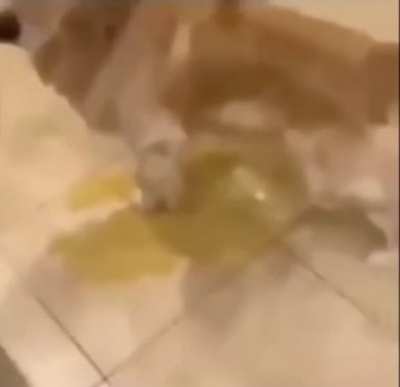 He's unstoppable