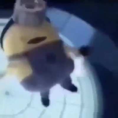 Medo