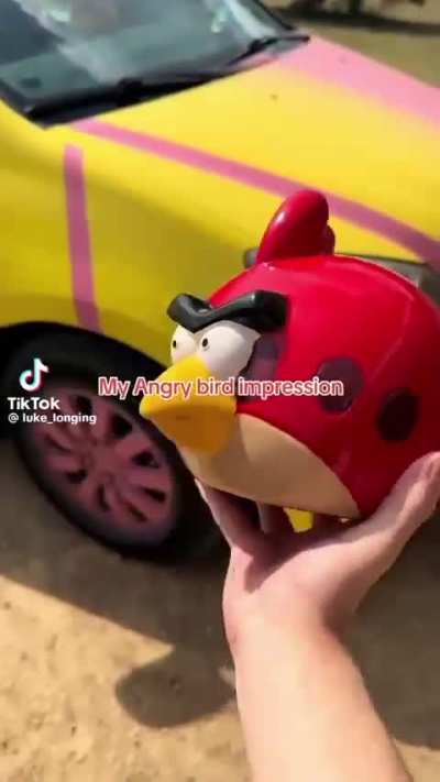 Who Broked My Angry Bird? 🐦