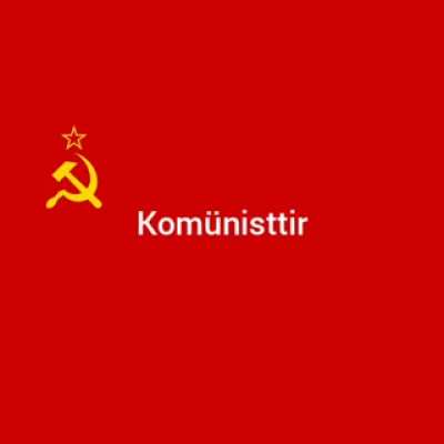 T&uuml;rk redditorlar olur gibi