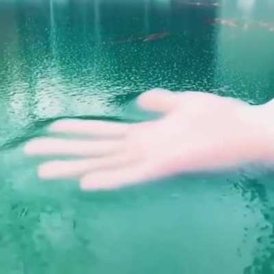 Moving your hand through a thin layer of ice before it freezes over.