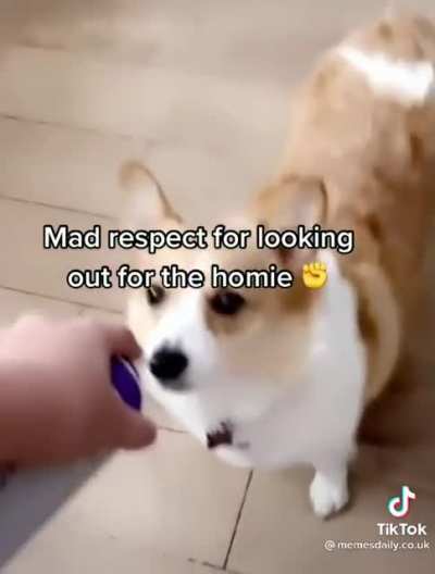 treat your Homie equally