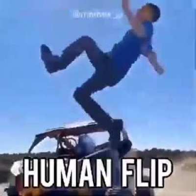 Flip meme