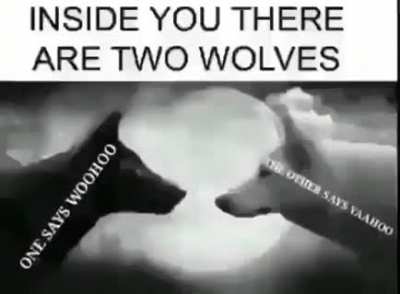 Woohoo, Yeehoo