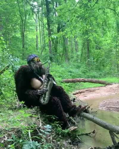 This MONKE will never give us up, never let us down