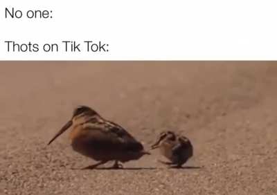 Shake it