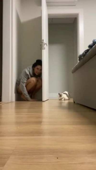 To scare the cat