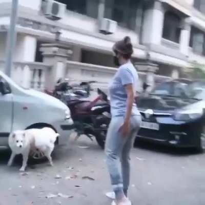 Sexy Malaika&rsquo;s juicy big 🍑and her panty lines 👅💋😍😍😍😍