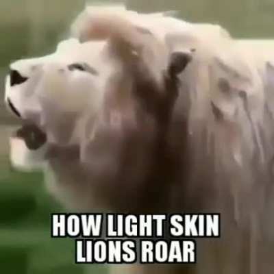 wow...🤯