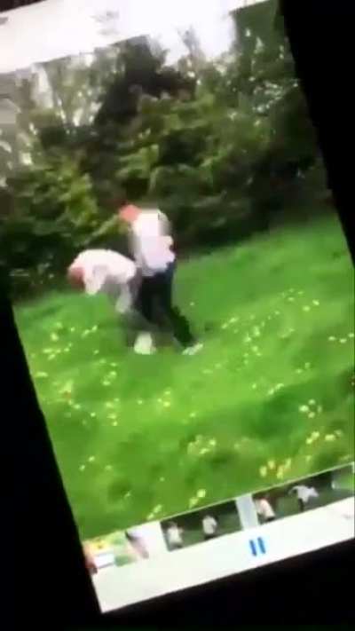 Two brothers getting jumped after one smashed a bowl over a kids head