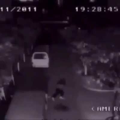 miren lo que grave en mi camara de seguridad mis lics