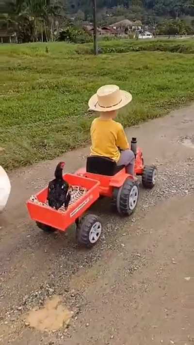 Little buddy is living the life 🚜👨&zwj;🌾🐓🦆🐐 🐕
