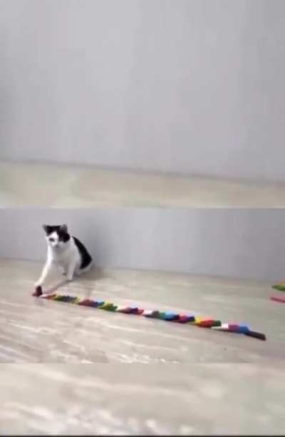 wunk