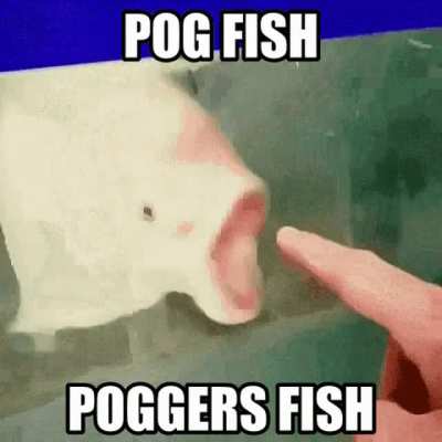 Rule