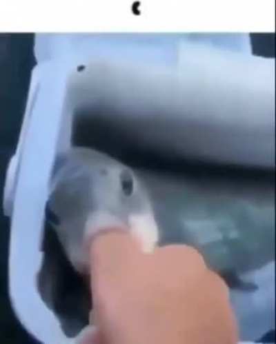😗