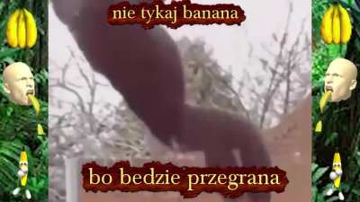 Dzień &oacute;smy jest jak: