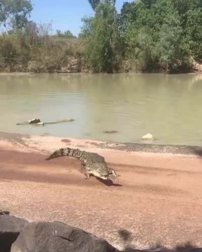 Meanwhile, at Cahill's Crossing...