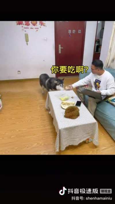 Wanna a piece of Durian? It smell so g....