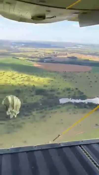 Высадка вместе с военными собаками